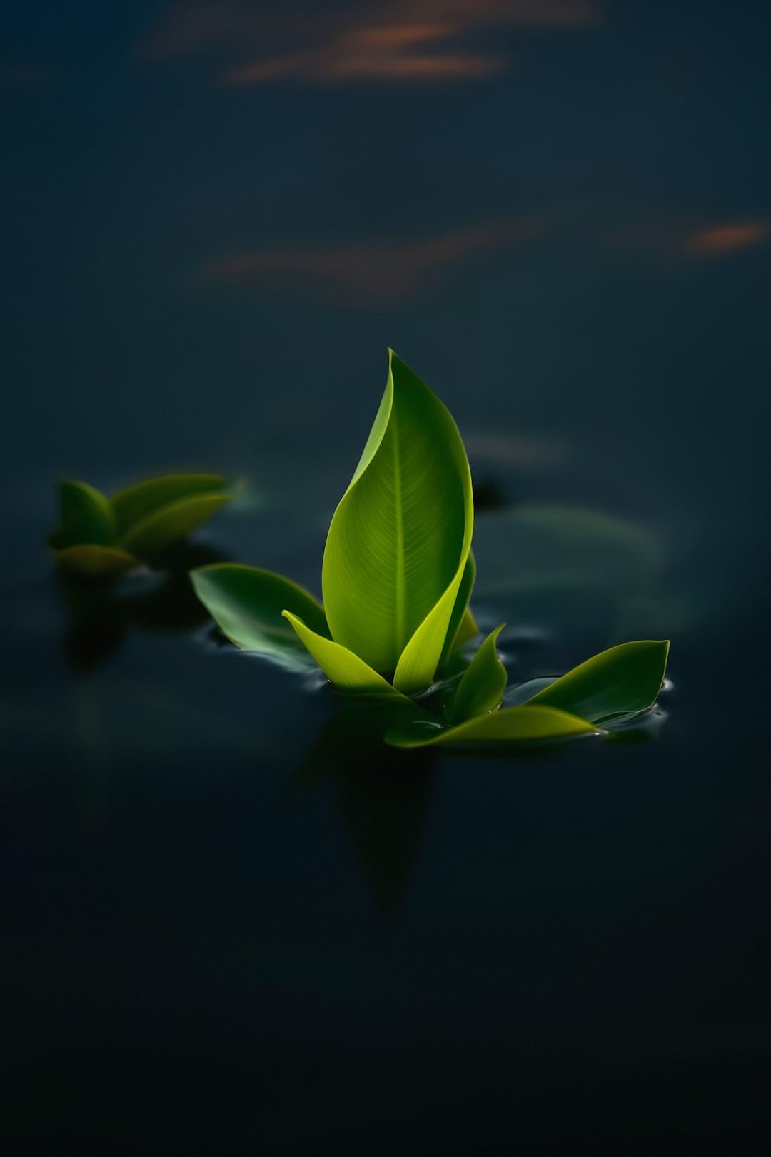 盯着拾荒老人不放,是怜悯?还是想遮羞?